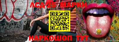 spice Новодвинск