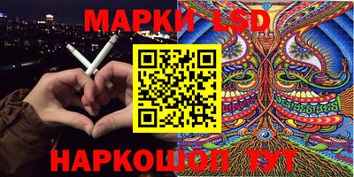 spice Новодвинск
