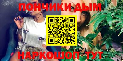 spice Новодвинск