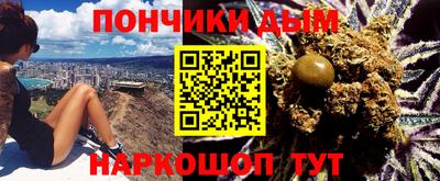 spice Новодвинск